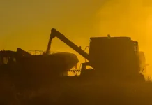 Valor da Produção Agropecuária é atualizado para R$ 1,150 trilhão este ano