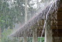 Nota Hidrometeorológica: última semana de outubro terá alto volume de chuva em SC