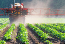 Congresso aprova corte de R$ 45 milhões do orçamento do programa de seguro rural