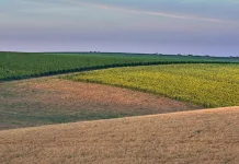 Seguro Rural 2023: Ministério da Agricultura pode ficar sem verba extra
