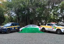 Polícia apreende 260 kg de maconha em carro com o pneu furado