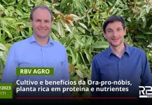 ORA-PRO-NÓBIS: CULTIVO E BENEFÍCIOS – RBV AGRO EDIÇÃO 171 – 16/09/2023