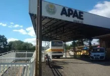 APAE Videira realiza processo de matrículas e rematrículas