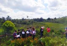 Horto medicinal de Fraiburgo leva saúde a assentamento