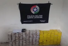 Cerca de 16 mil maços de cigarros contrabandeados são aprendidos em Tangará