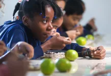 Estado abre editais para compra de produtos para alimentação escolar