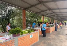 Feira do Produtor Rural já funciona na sexta-feira em Caçador