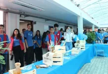 Mundo Senai apresenta situações de aprendizagem em diversas áreas