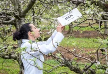 Pesquisadora da Epagri de Caçador é homenageada na Alesc