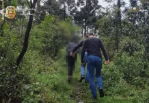 Suspeito de furtar estabelecimento comercial de Pinheiro Preto é preso no PR