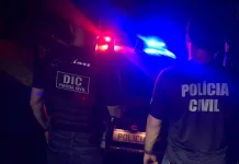 Furtos em Videira: Polícia Civil prende suspeito após intensa investigação