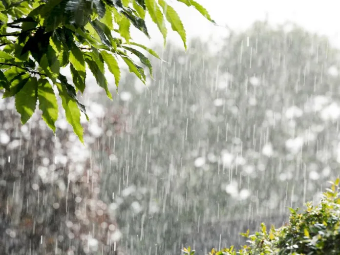 Previsão do Tempo: Santa Catarina com condições para chuva