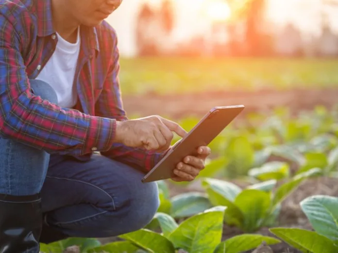 Plataforma online para certificação da produção agropecuária está em desenvolvimento
