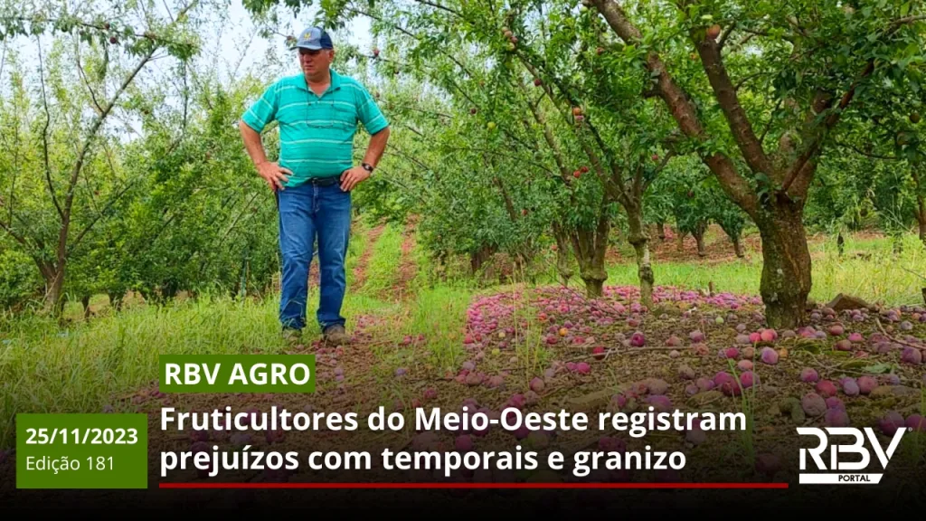 RBV Agro - Granizo e as perdas na fruticultura