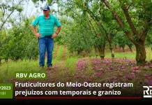 GRANIZO E AS PERDAS DA FRUTICULTURA – RBV Agro Edição 181 – 25/11/2023