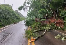 Queda de barreira na SC-135 interdita parcialmente pista próxima à Linha Gramado