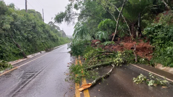 Queda de barreira interdita parcialmente trecho da SC-135 próximo à Linha Gramado