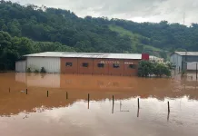 Enxurrada e queda de barracão são registrados em Pinheiro Preto