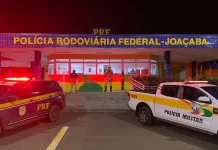 Polícia apreende 150 quilos de maconha em Luzerna