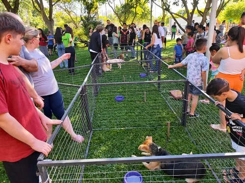 Uniarp e Prefeitura de Caçador promovem Feira de Adoção de Animais