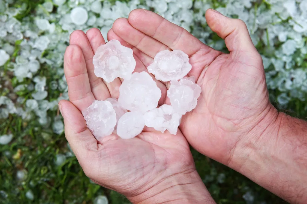 SC investe R$ 3,8 milhões para ampliar proteção contra granizo