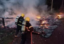Homem sofre queimaduras ao salvar cão em incêndio