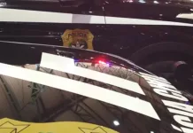 Homem é preso em Videira acusado de diversos crimes