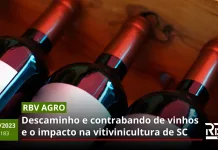 RBV Agro 183: descaminho e contrabando de vinhos