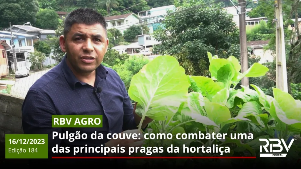 RBV Agro 184 - Pulgão da Couve como combater