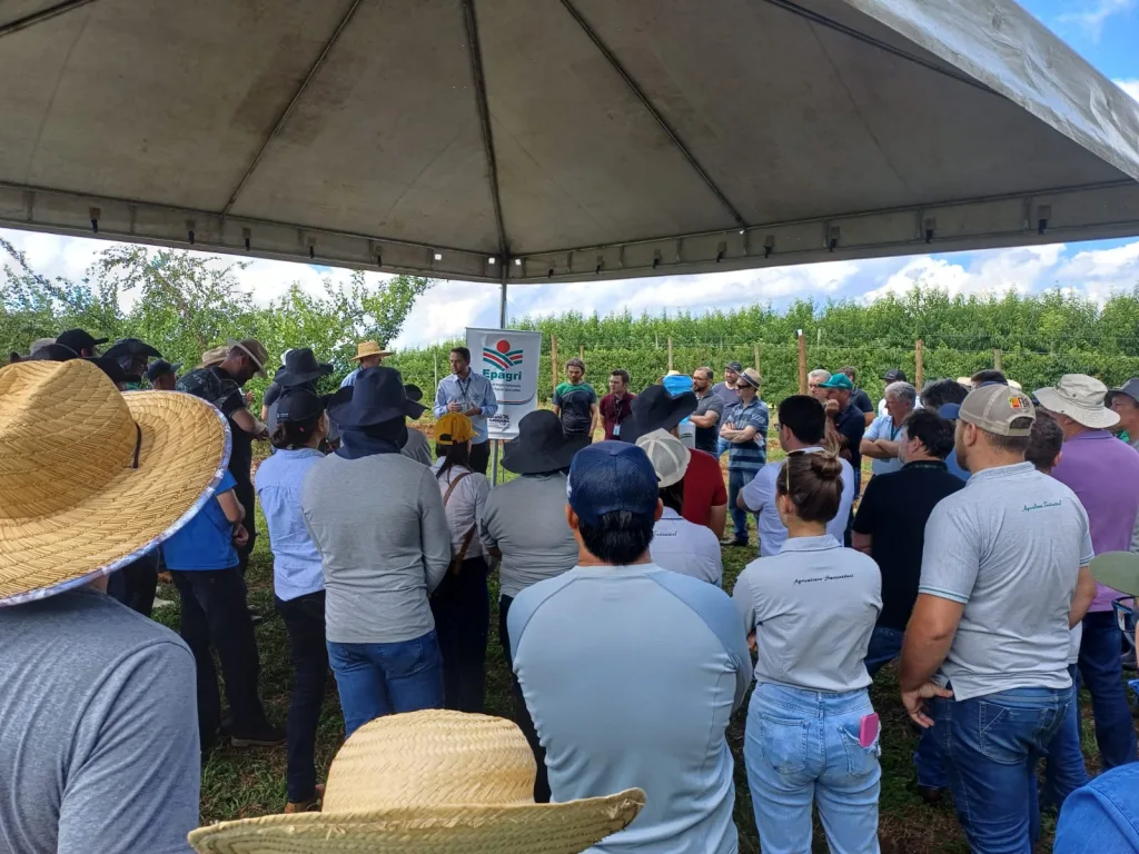 Epagri de Videira promove Dia de Campo sobre frutas de caroço