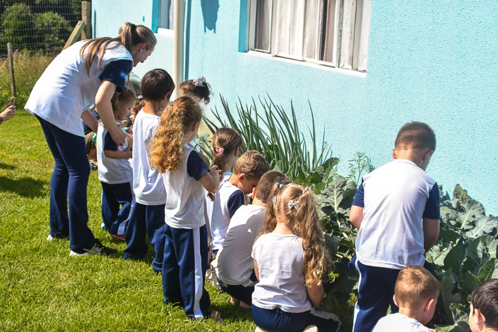 Horta escolar incentiva a alimentação saudável entre as crianças de Videira