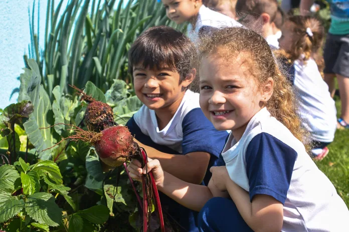 Horta escolar incentiva a alimentação saudável entre as crianças de Videira