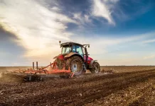 Calendário de semeadura da soja é prorrogado em Santa Catarina