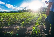 Aprovado projeto que reforça financiamento ao setor do agronegócio