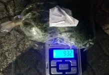 Preso ganha alvará de soltura e é flagrado novamente com drogas