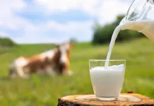 CMN aprova linha de crédito especial para produtores de leite