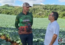 Excesso de chuva pode causar até 20% de perdas nas lavouras