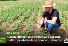 RBV Agro 186 – Plantio direto
