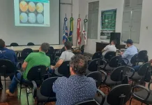 Controle de doenças no tomate é tema de reunião em Caçador