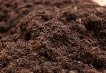 El Niño deve se estabilizar mas ainda inspira cuidados para o próximo trimestre