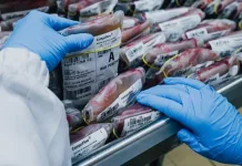 SC tem crescimento de 4,1% nas doações de sangue em 2023