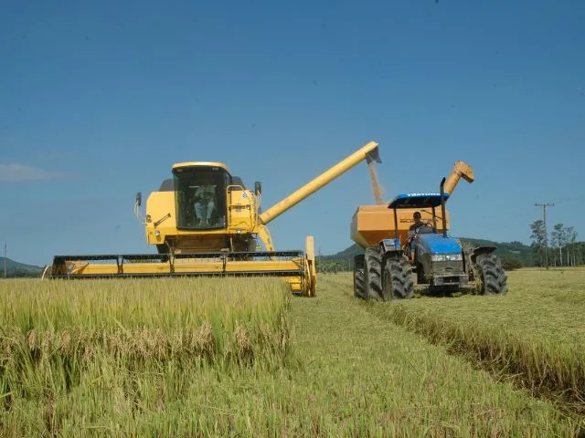 Abertura oficial da colheita do arroz de SC ocorre nesta quinta-feira