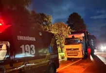 Carga de madeira se desprende e causa acidente em Santa Cecilia