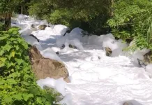 Ácido sulfônico: o que é e quais os perigos do produto que caiu em rio de Joinville