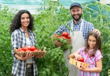 Compra de R$ 10 milhões em itens da agricultura familiar em SC