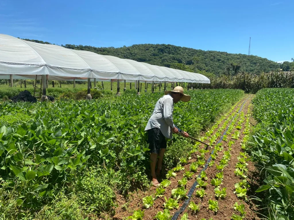 Agricultores podem se inscrever para Programa Nacional de Crédito Fundiário