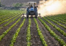 Investimento de R$ 20 bi para mecanização na agricultura familiar