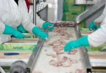 Exportação de carne de frango aumenta 48,8% em relação a janeiro/23