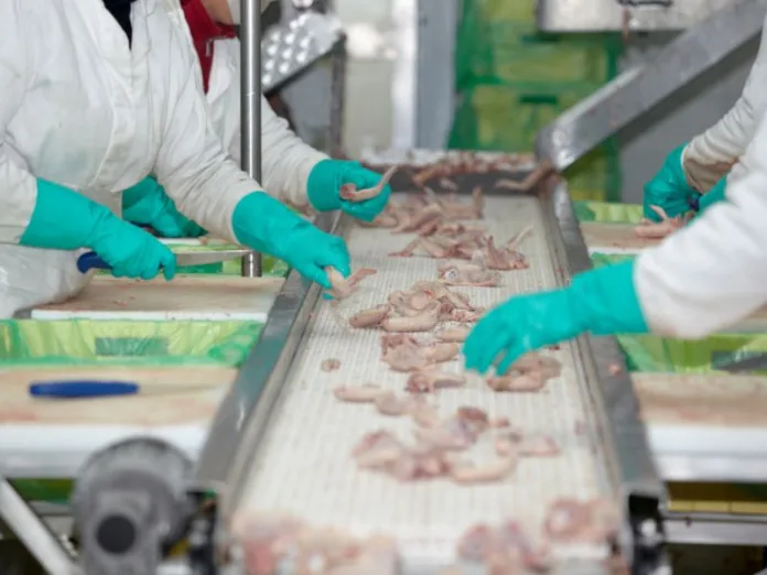 Exportação de carne de frango aumenta 48,8% em relação a janeiro/23