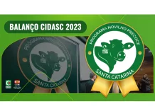 Carne bovina de Santa Catarina segue altamente valorizada